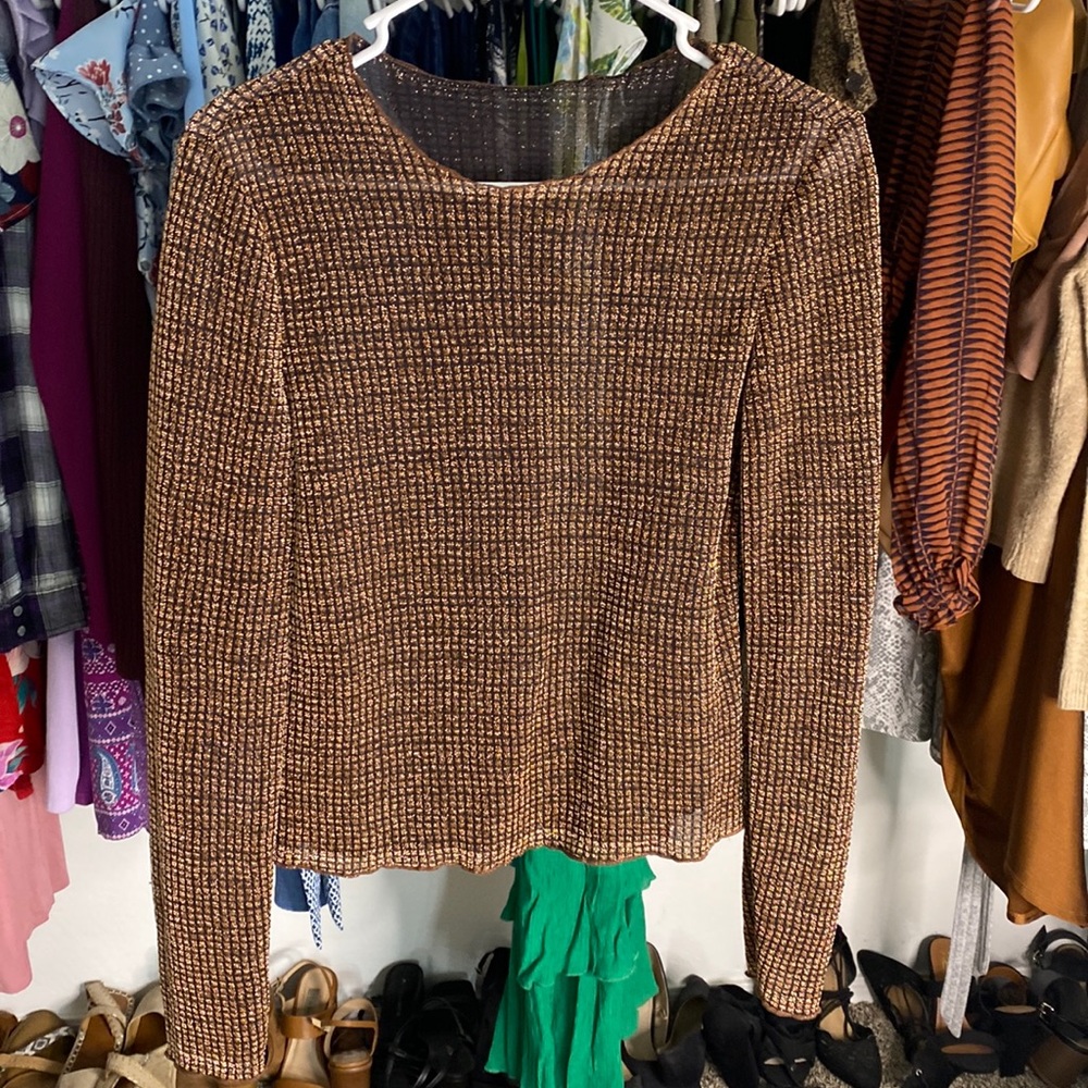 Sheer Long Sleeve Glitter Top | Size : M